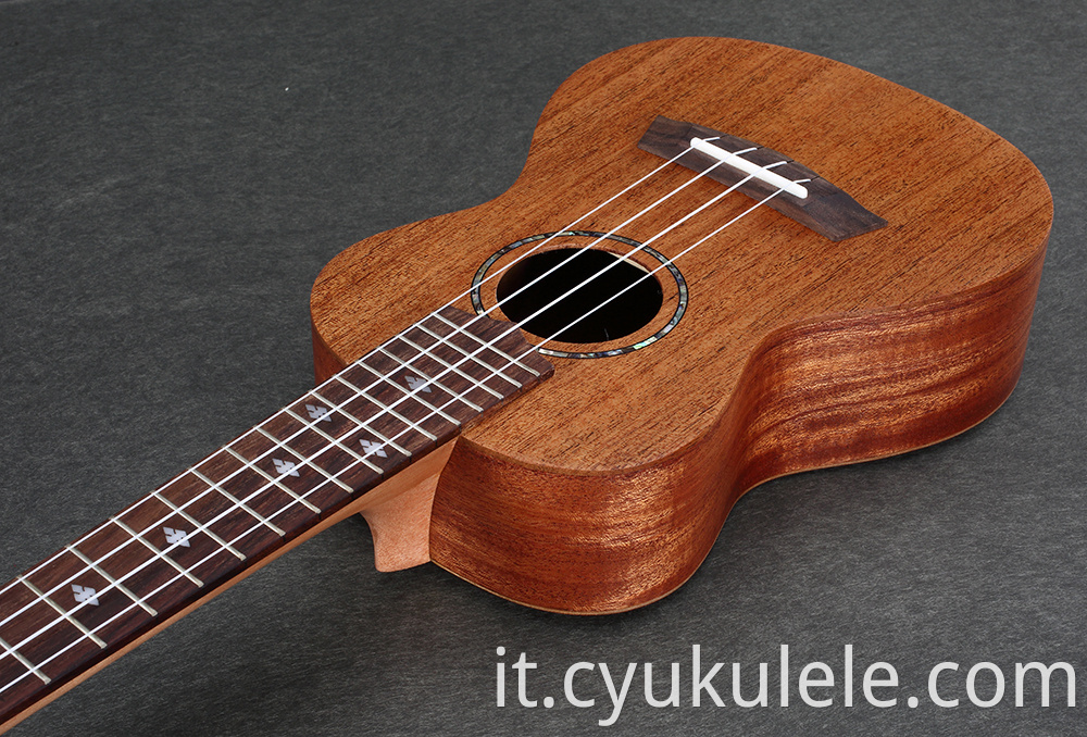 ukulele19